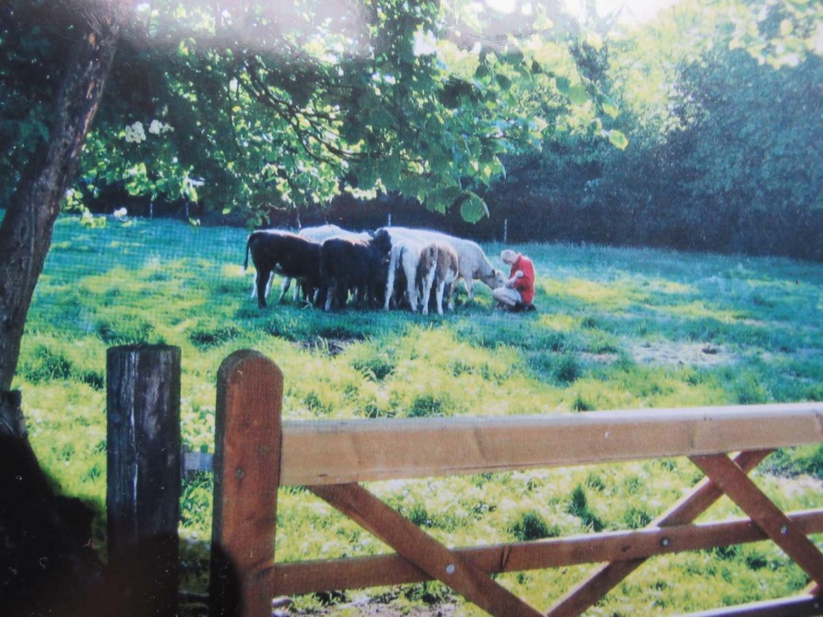 Corner Farm Panzió Crewe Kültér fotó